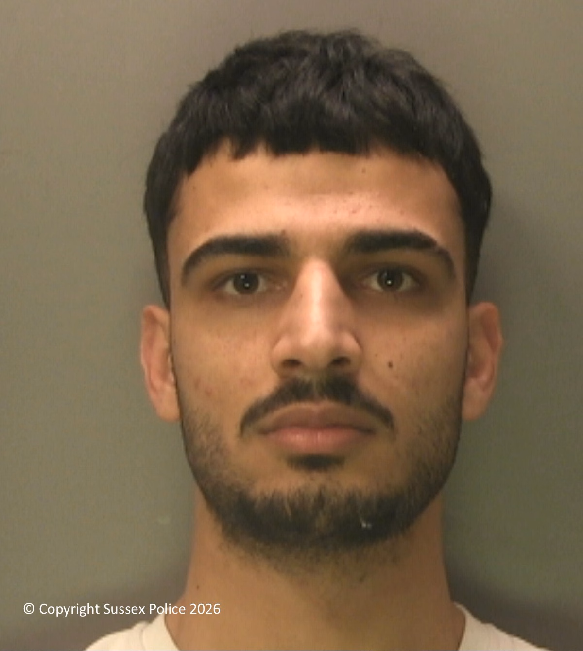 Mohammad Rasauli watermark