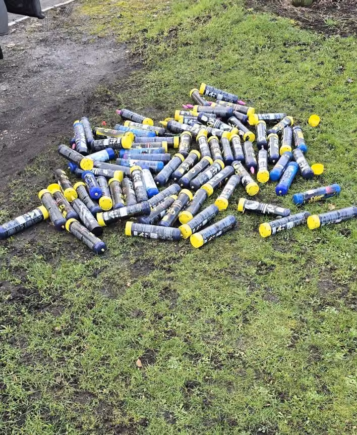 Nitrous oxide canisters
