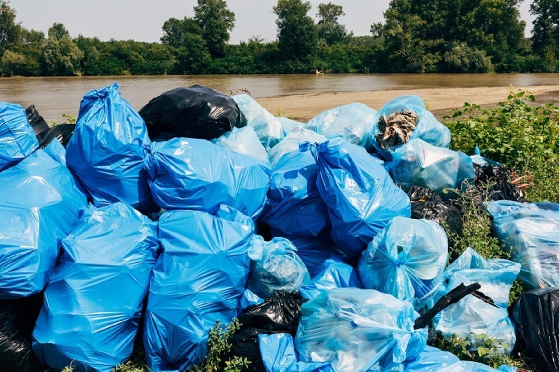 Environmental crime<br>