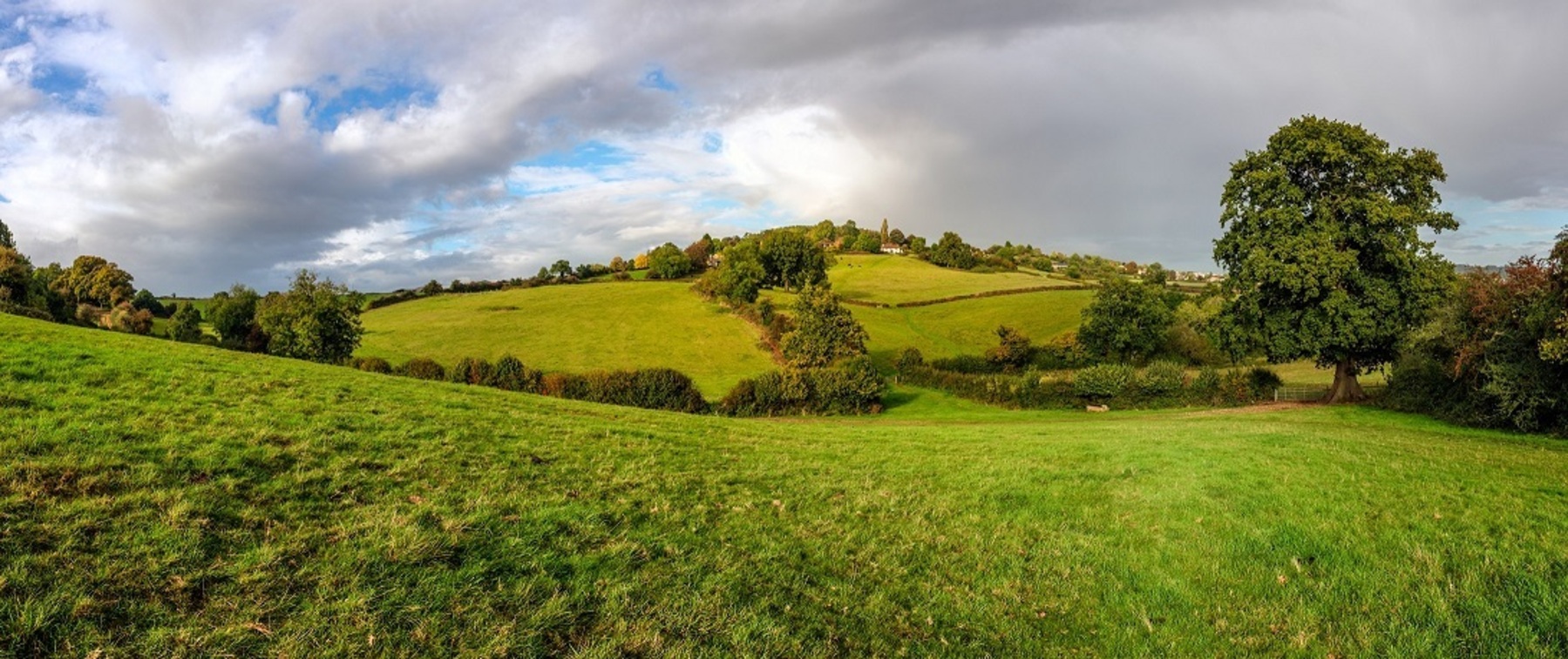 Rural crime<br>