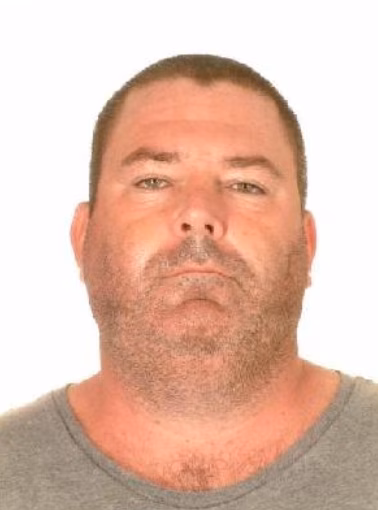 Foster custody image