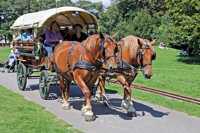 Horse-drawn caravan