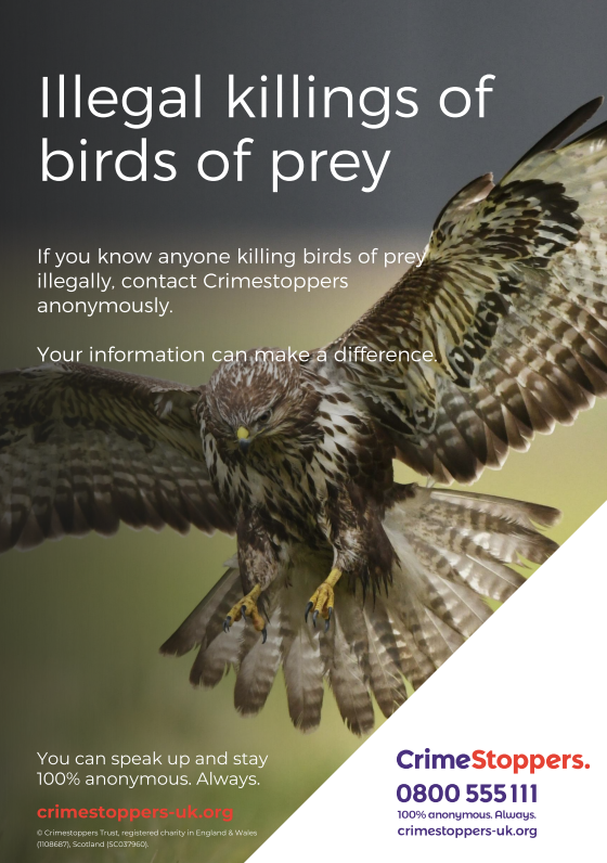 Crimestoppers asks for anonymous information in drive to protect  Yorkshire's precious birds of prey