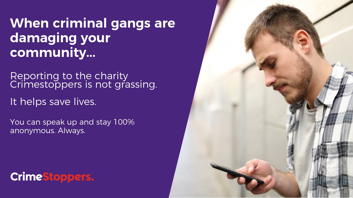 Reporting gangs is not grassing