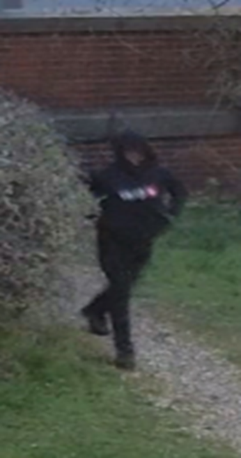 Suspect image 3
