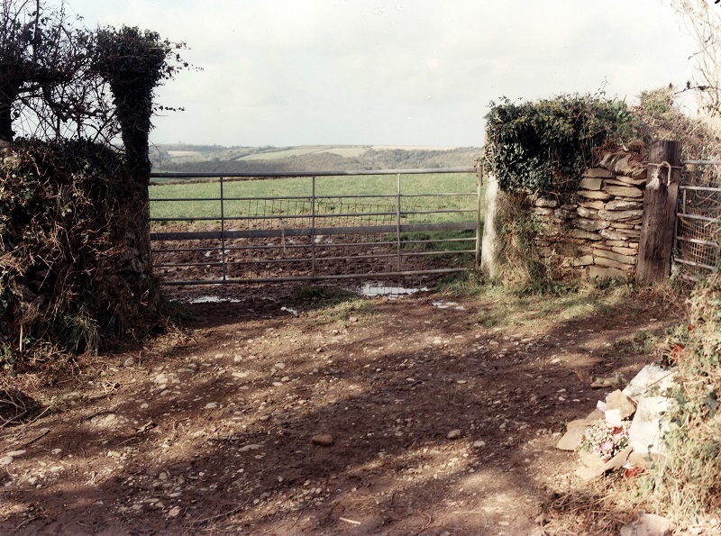 Lyn Bryant murder scene