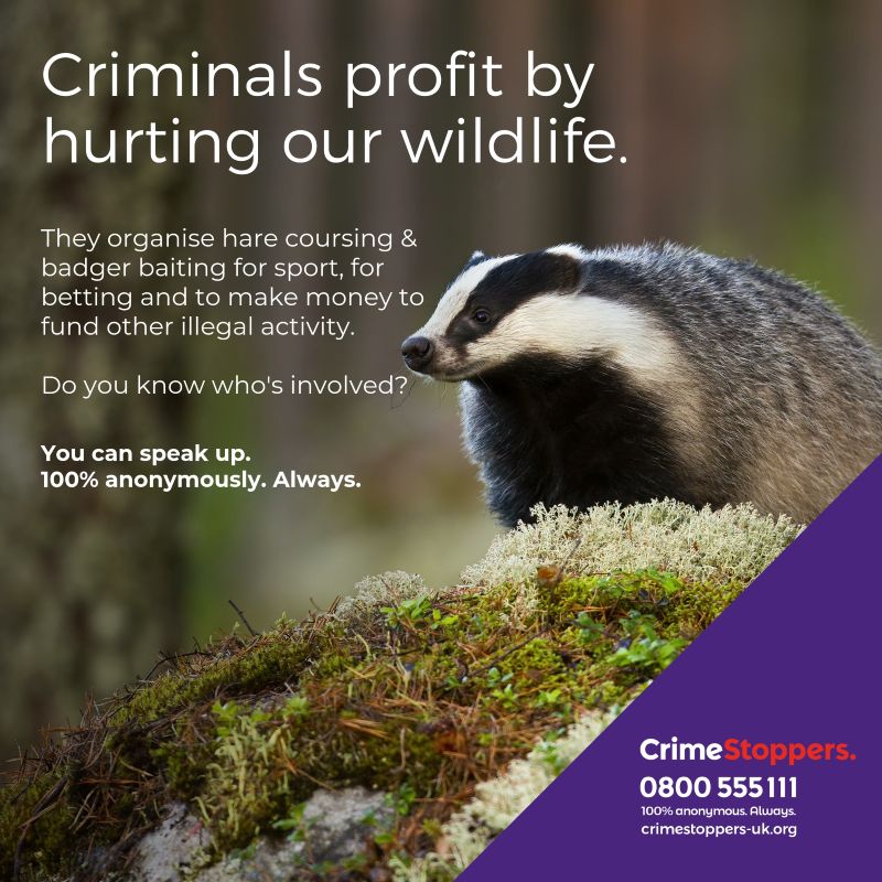 Rural crime campaign