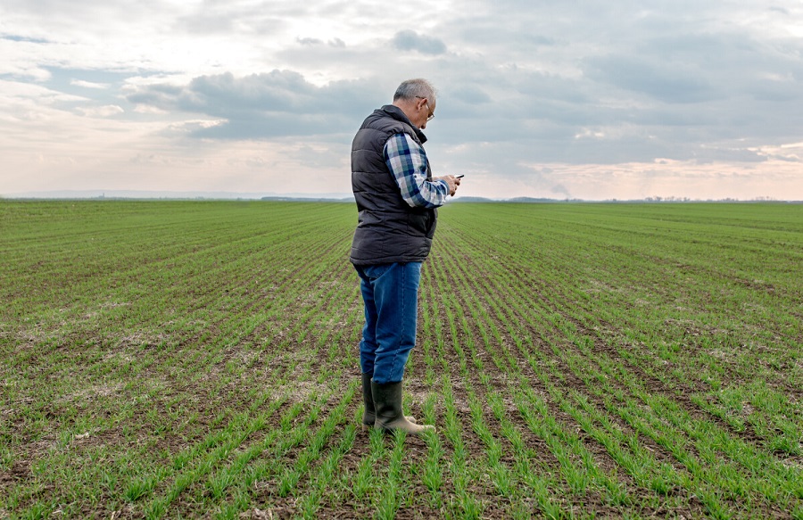 Farmer in field on phone
